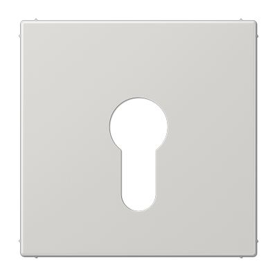 Крышка к выключателю для замочного механизма; светло-серая, LS925LG