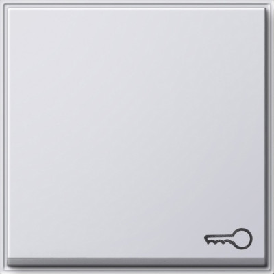 028766 Gira Клавиша с пиктограммой "ключ"