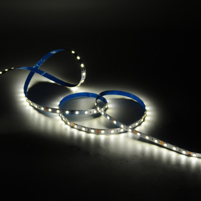 Лента Gauss Basic LED 5050/60 12V 10W/m 700lm/m 3000K 10mm IP20 1m 1/100, BT033