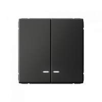 GAL001453S - ARTGALLERY 2-клавишный ВЫКЛЮЧАТЕЛЬ с подсветкой, сх.5а, 10АХ, механизм, быстрозажим. клем., БАЗАЛЬТ, Systeme Electric