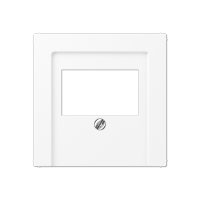 Накладка на USB зарядные устройства и TAE-розетки; с видимым винтом; термопласт; белый матовый, A569BFPLTWWM