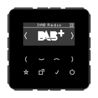 Цифровое радио DAB +, DABCDSW