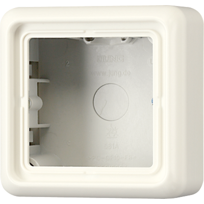 Рамка для вертикальной и горизонтальной установки, 1 пост, накладной монтаж; дюропласт; слоновая кость; CD500, CD581AW