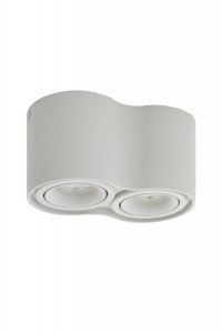 Потолочный светильник Denkirs DK2002-WH Потолочный светильник Denkirs DK2002-WH