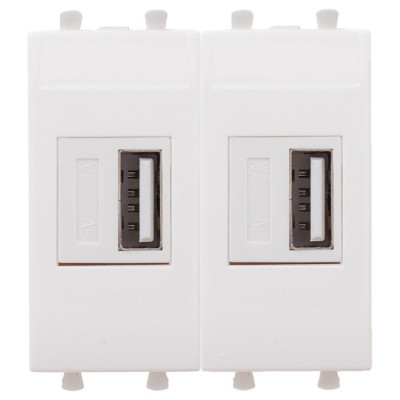 4400542 - ДКС USB зарядное устройство модульное, "Avanti", "Белое облако", 2 модуля