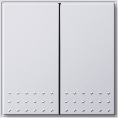 012866 Gira Кнопочный 2-клавю переключатель 2- местн