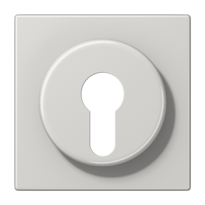 Крышка к выключателю для замочного механизма; светло-серая, LS928LG