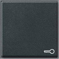 028767 Gira Клавиша с пиктограммой "ключ"