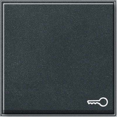 028767 Gira Клавиша с пиктограммой "ключ"