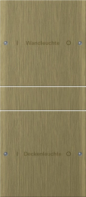 2132607 Gira Комплект клавиш, 2 шт. ГРАВИРОВКА