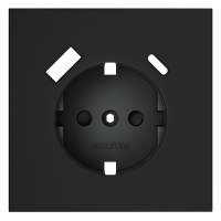 Накладка для розетки с заземлением и защитными шторками, с USB A+C, S70 (графит), VLS001007