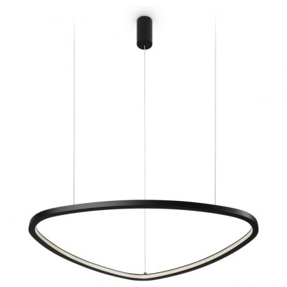 Maytoni Modern Подвесной светильник, цвет: Черный 1x25W