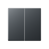 Двойная клавиша для балансирных механизмов выключателей (кнопок), в комплекте с AS90-5HP (крепежный элемент), возможно IP44; термопласт; матовый антрацит; A500, A595BFANM