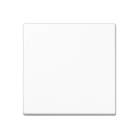 Стандартная центральная плата, A1700WW