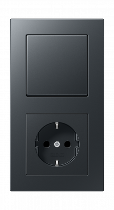 Jung Блок: Выключатель 1-клавишный с розеткой 2к+з,  серия A 550
