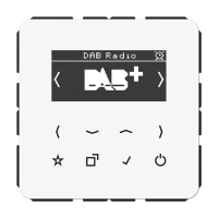 Цифровое радио DAB +, DABCDWW