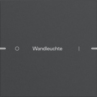 5031928 Gira Клавиша одинарная  для сенс.  выкл.Gira 4 KNX, ГРАВИРОВКА