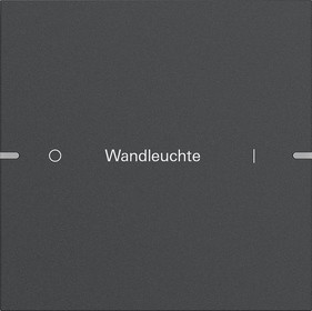 5031928 Gira Клавиша одинарная  для сенс.  выкл.Gira 4 KNX, ГРАВИРОВКА