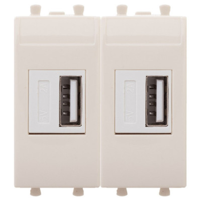 4405542 - ДКС USB зарядное устройство модульное, "Avanti", "Ванильная дымка", 2 модуля