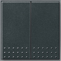 012867 Gira Кнопочный 2-клавю переключатель 2- местн