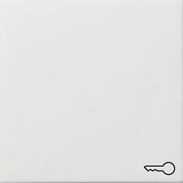 0287112 Gira Клавиша с пиктограммой "ключ"