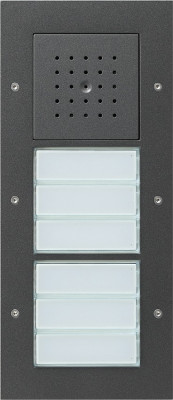 126867 Gira Плоская наружная дверная шестиканальная станция
