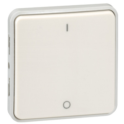 Двухполюсный выключатель - Программа Plexo - белый - 10 AX