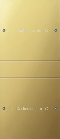 2132608 Gira Комплект клавиш, 2 шт. ГРАВИРОВКА 2132608 Gira Комплект клавиш, 2 шт. ГРАВИРОВКА