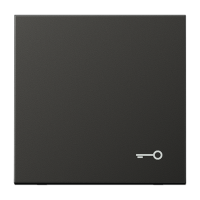 Клавиша с символом "замок"; антрацит, AL2990TAN