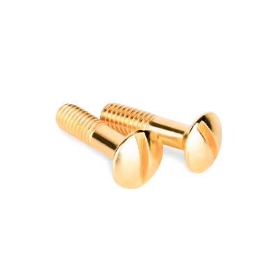 Werkel WL18-22-01/ Винты для распределительной коробки/TV  розетки 2 шт. (золото) Ретро, a038396