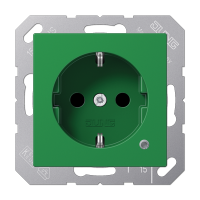 SCHUKO-розетка с индикацией, A1520BFKOGN