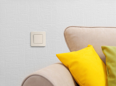 Legrand Выключатель одноклавишный - Legrand Inspiria - 10А 250В безвинтовые зажимы - слоновая кость, 673601