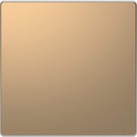 D-Life Заглушка, шампань