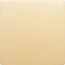 FD16911-A Fede NEW Fede IP44 Накладка розетки с крышкой 2К+З, беж.