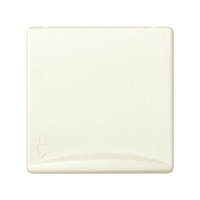 Simon S27 Розетка 2К+З с крышкой, шторки, винт. зажим 16А 250В~, сл.кость, 27490-32