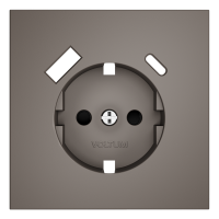 Накладка для розетки с заземлением и защитными шторками, с USB A+C, S70 (капучино), VLS001014 Накладка для розетки с заземлением и защитными шторками, с USB A+C, S70 (капучино), VLS001014