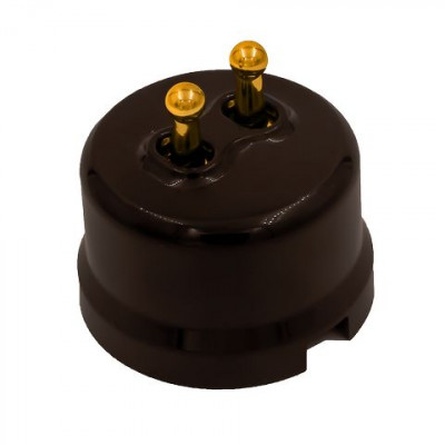 Bironi Выключатель 2-кл., пластик, цвет Коричневый,  Золото (тумблерный), B1-232-22-G