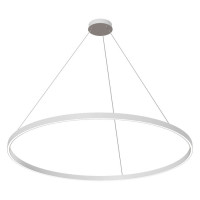 Technical Rim Подвесной светильник, цвет -  Белый, 81W