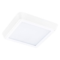 Lightstar 216802 Светильник URBANO SQ LED 20W 1480LM 115G БЕЛЫЙ 3000K IP65 (в комплекте)