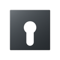 Крышка для выключателя с замком; матовый антрацит, A525PLANM Крышка для выключателя с замком; матовый антрацит, A525PLANM