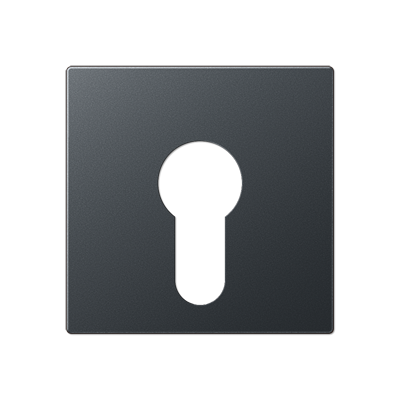 Крышка для выключателя с замком; матовый антрацит, A525PLANM
