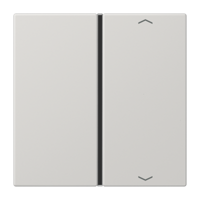 Клавиша для сенсорного модуля KNX, одиночная, светло-серая, LS401TSAPLG