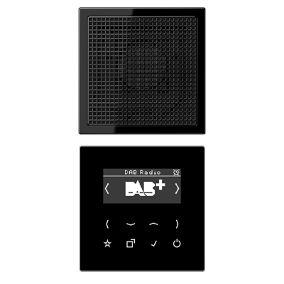 Цифровое радио DAB +, DABLS1SW