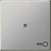 0287600 Gira Клавиша с пиктограммой "ключ"