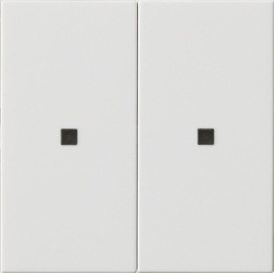 536903 Gira Клавиша двойн., без надписи с контрольным окошком
