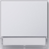 067666 Gira Клавиша с полем для надписи 37*47 мм