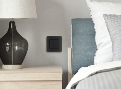 Legrand Выключатель одноклавишный - Legrand Inspiria - 10А 250В безвинтовые зажимы - антрацит, 673603