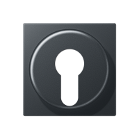 накладка для выключателя с замком, A528PLANM накладка для выключателя с замком, A528PLANM