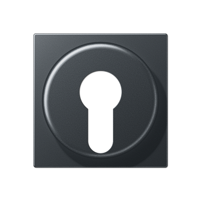 накладка для выключателя с замком, A528PLANM