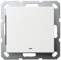 Выключатель одноклавишный со светодиодом 10A 250V~ с накладкой, цвет белый глянцевый, G3011NW, Jasmart Electric